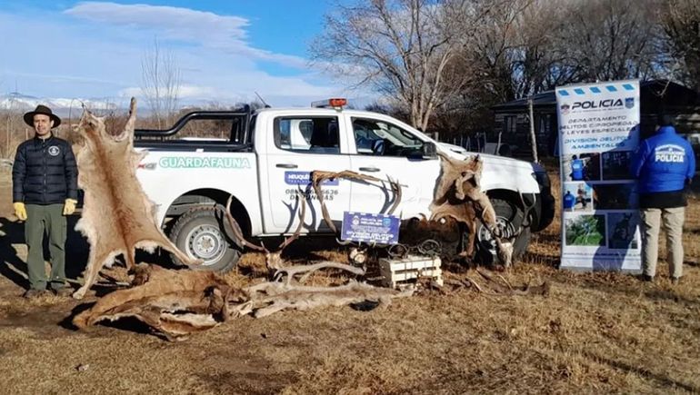 Desbarataron una banda de caza furtiva que actuaba en la provincia