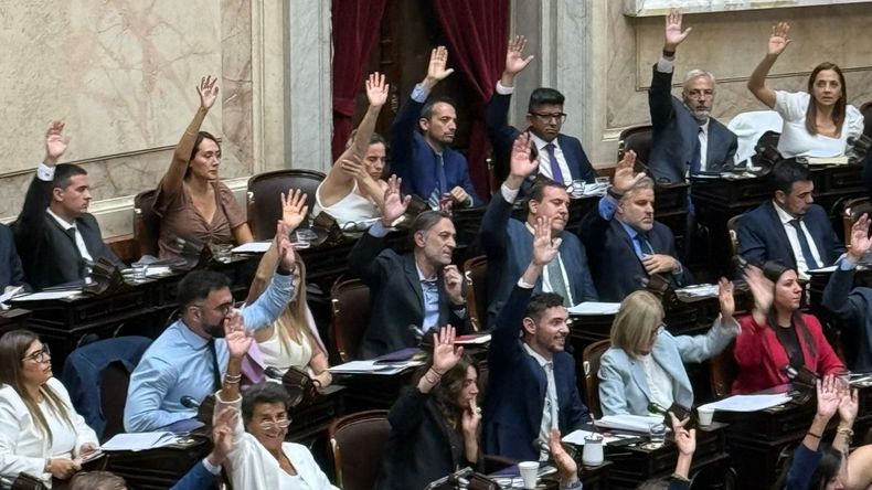 Baja de la edad de imputabilidad: cómo votaron los diputados de Neuquén y Río Negro | LM Neuquen Baja de la edad de imputabilidad: cómo votaron los diputados de Neuquén y Río Negro