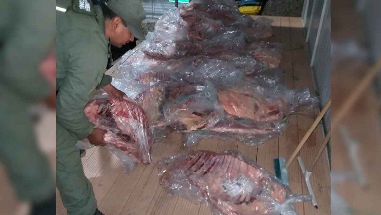 Cutral Co: decomisaron 732 kilos de carne que eran llevados a Catriel