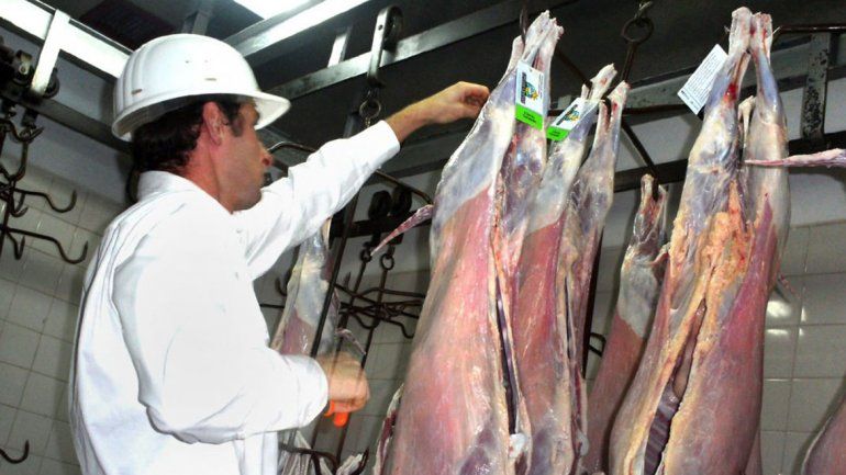 La carne barata sólo se conseguirá en Buenos Aires, Santa Fe y Córdoba
