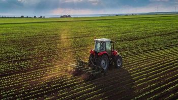 campo 1200x678.jpg
