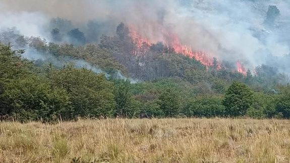 Se está quemando todo: el dramático relato del productores de Neuquén por los incendios