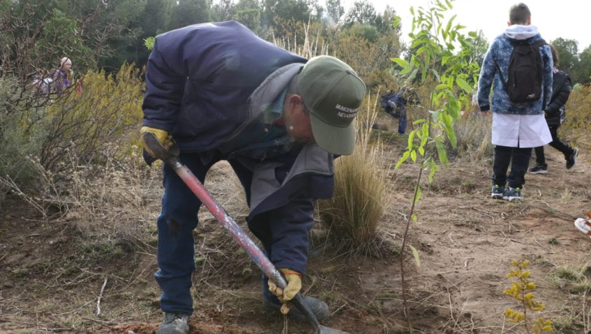 Plan forestal: la ciudad tendrá un nuevo Parque Norte