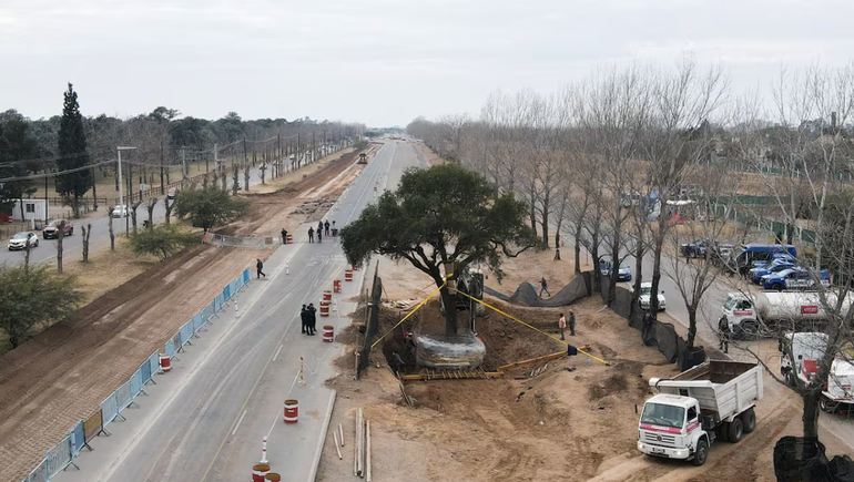 Polémica: el millonario traslado de un quebracho de casi 300 años para ampliar una avenida