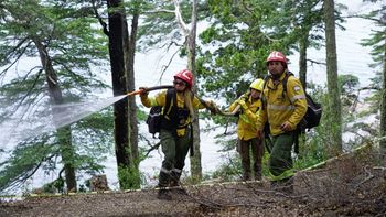 incendio forestal en lago hermoso: intenso operativo para contener el avance del fuego incendio forestal en lago hermoso: intenso operativo para contener el avance del fuego
