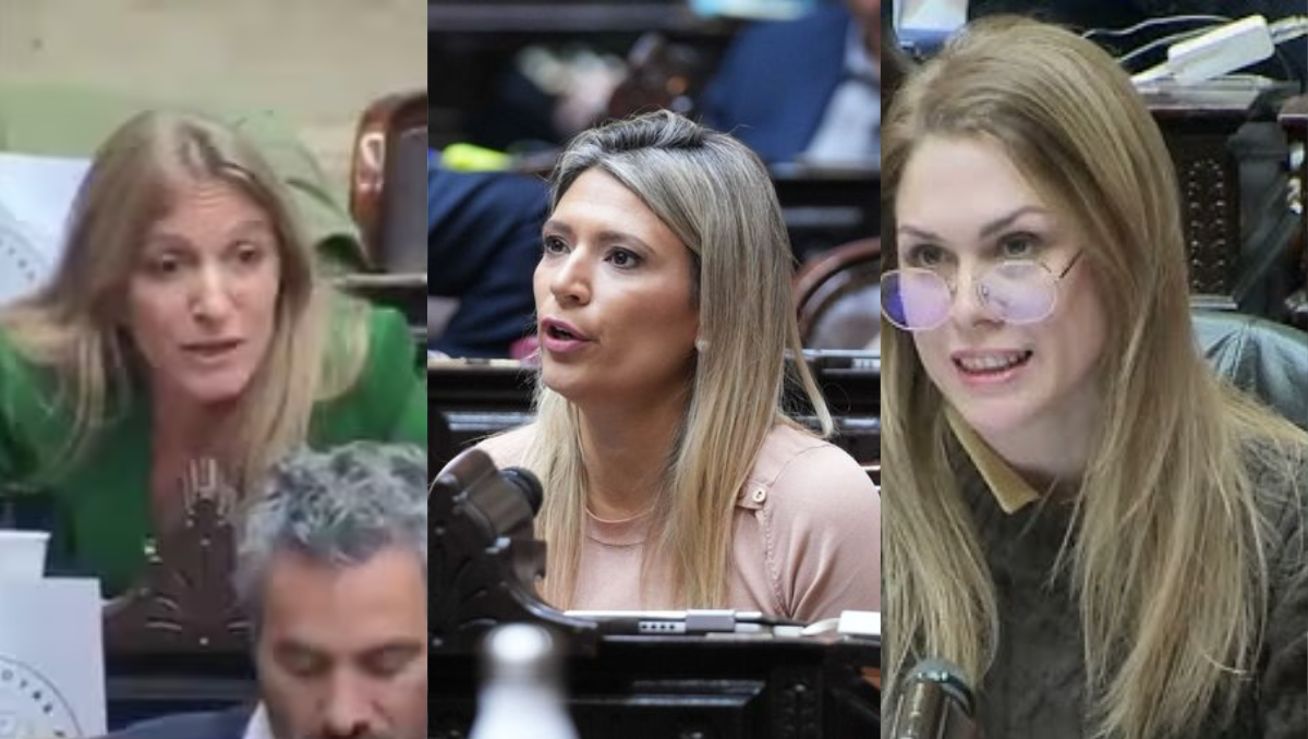 Carignano, Lemoine y Márquez se dijeron de todo en plena sesión en Diputados