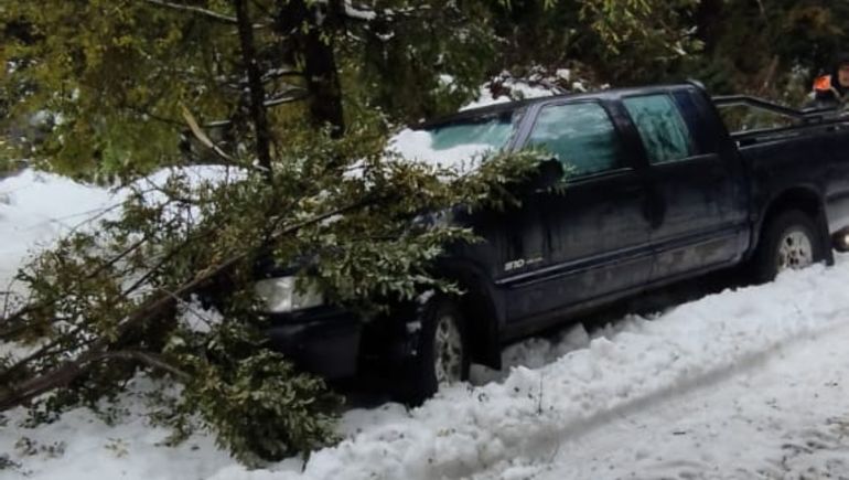 En la Ruta 48 además de acumulación de nieve hubo árboles caídos. En la Ruta 48 además de acumulación de nieve hubo árboles caídos.