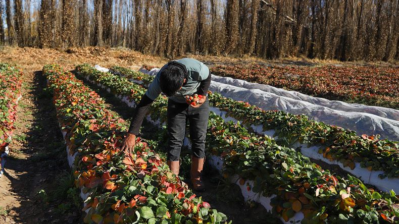 Lanzan capacitación clave en Plottier para emprendedores | LM Neuquen Lanzan capacitación clave en Plottier para emprendedores
