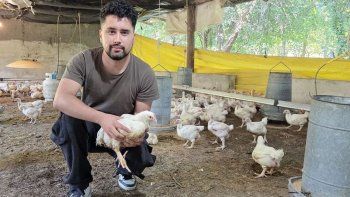 la produccion avicola en neuquen tiene futuro de la mano de las nuevas generaciones la produccion avicola en neuquen tiene futuro de la mano de las nuevas generaciones
