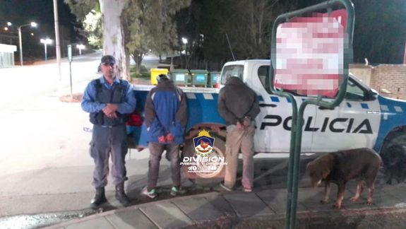 Policía los atrapó intentando robar reflectores gracias a las cámaras urbanas
