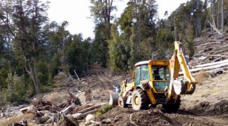 Una cooperativa de Villa Traful recibió una dura sanción por dañar el bosque.
