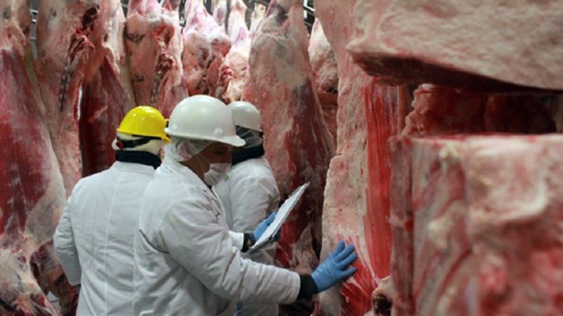 Las exportaciones de carnes argentinas ganarán en valor con este nuevo acuerdo. | LM Neuquen Las exportaciones de carnes argentinas ganarán en valor con este nuevo acuerdo.