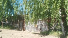Femicidio en Allen: asesinó a su pareja y luego intentó suicidarse