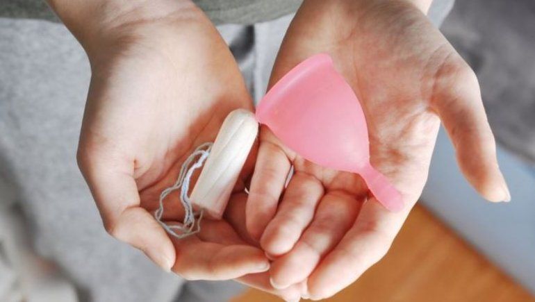 Copas menstruales, tampones y toallitas gratis en las escuelas neuquinas