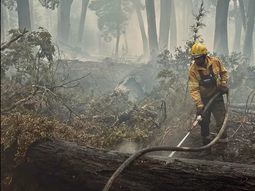 Por un año, el Gobierno de Río Negro declaró la emergencia ígnea en todo el territorio. Por un año, el Gobierno de Río Negro declaró la emergencia ígnea en todo el territorio.