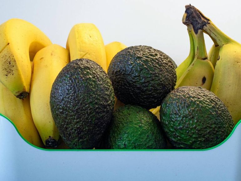 La palta fuera de la heladera. Es una buena idea dejarla en la frutera cerca de alguna banana o manzana para que madure más rápido. La palta fuera de la heladera. Es una buena idea dejarla en la frutera cerca de alguna banana o manzana para que madure más rápido.