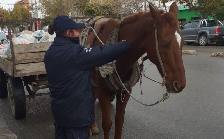 La policía interceptó a don Martín en Naciones Unidas y Nicaragua