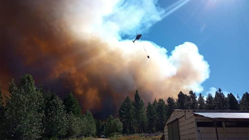 voraz incendio en alumine: esta fuera de control voraz incendio en alumine: esta fuera de control