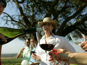 chile: ¿se puede escapar de la trampa de los vinos baratos?