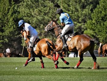 el torneo de polo da inicio a la expo rural 2025