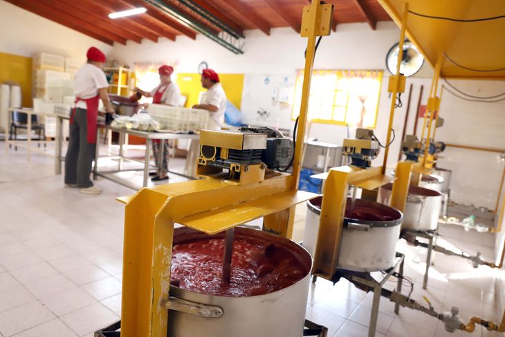 La fruta proviene de El Bolsón y de China Muerta. Foto: Claudio Espinoza. La fruta proviene de El Bolsón y de China Muerta. Foto: Claudio Espinoza.