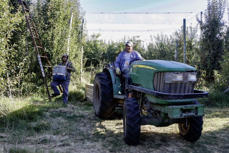 Los trabajadores migrantes van de cultivo en cultivo. Los trabajadores migrantes van de cultivo en cultivo.