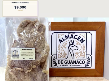 Bife ancho de guanaco, uno de los cortes más vendidos del almacén Lihuen en Río Gallegos. Bife ancho de guanaco, uno de los cortes más vendidos del almacén Lihuen en Río Gallegos.