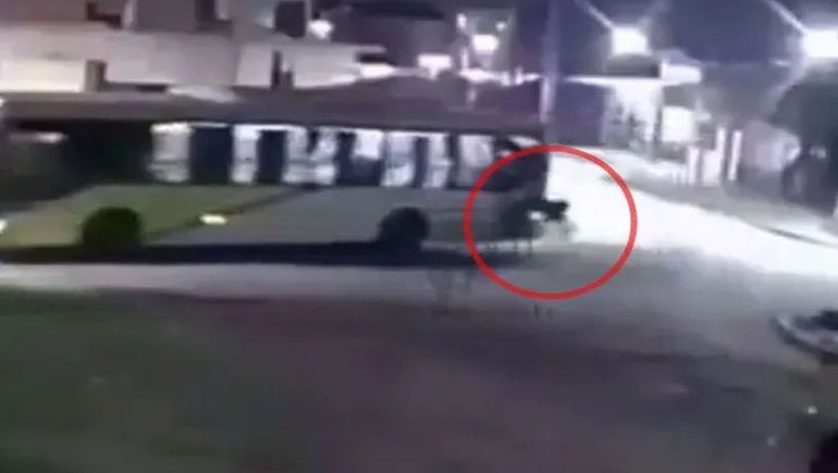 Peligro en el colectivo: un pasajero se quedó dormido y voló por la ventanilla
