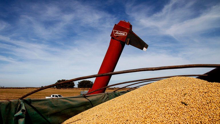 Las retenciones a la soja subirán en las próximas horas