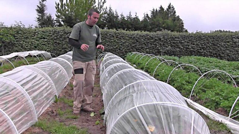 Dictan taller para proteger huertas con microtúneles