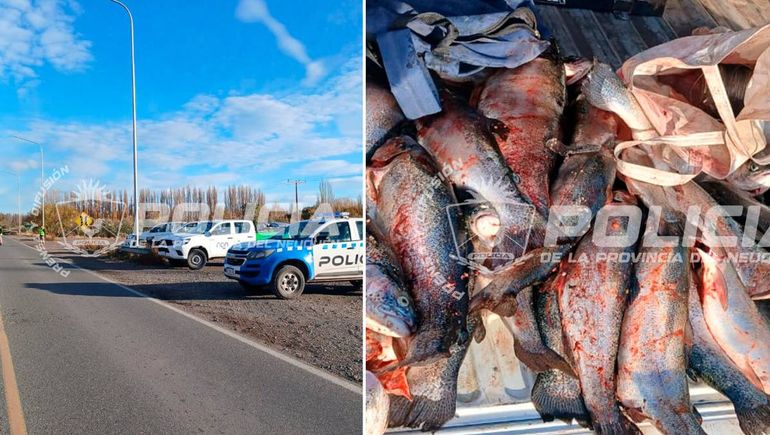 Otro golpe a la pesca ilegal: los atraparon con las truchas arriba del vehículo