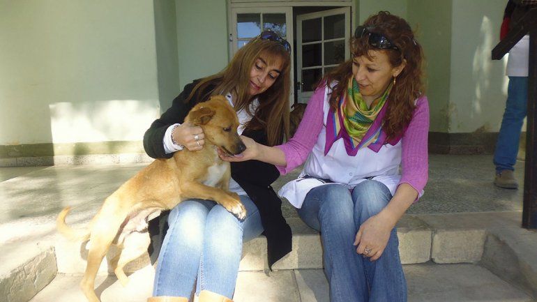 Adrián Suar, el perro al que le gusta ir al colegio