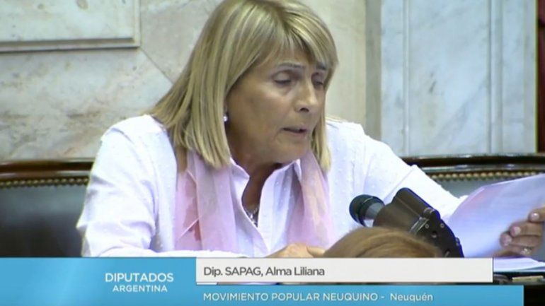 Chani Sapag fue una de las diputadas que votó en contra del proyecto oficialista.