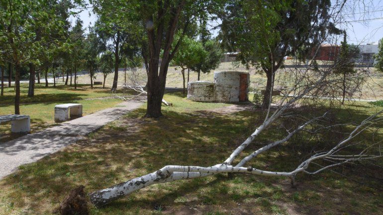Insoportable, el viento volvió a causar destrozos