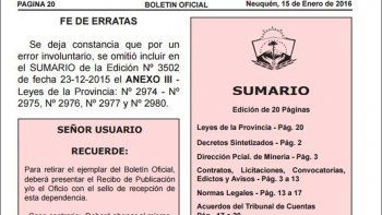 La fe de erratas publicada en la edición del Boletín Oficial del 15 de enero. La fe de erratas publicada en la edición del Boletín Oficial del 15 de enero.