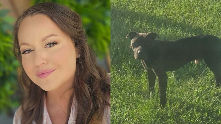 Hace unos meses, la mujer publicó en redes que había encontrado un perro cerca de su casa. Hace unos meses, la mujer publicó en redes que había encontrado un perro cerca de su casa.