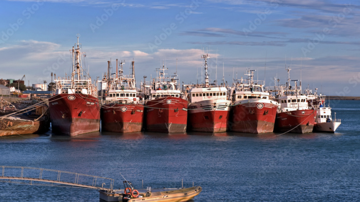 Las exportaciones a China superaron los 486 millones de dólares, traccionadas por la zafra récord.