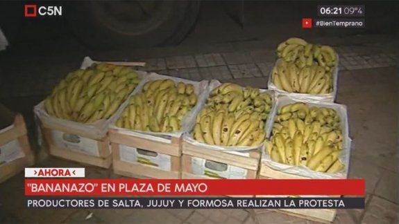 pais bananero: regalan frutas en contra de la importacion