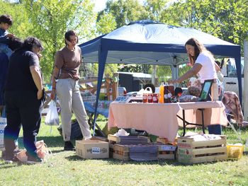 Para agendar: se viene la feria de los viernes en Centenario.