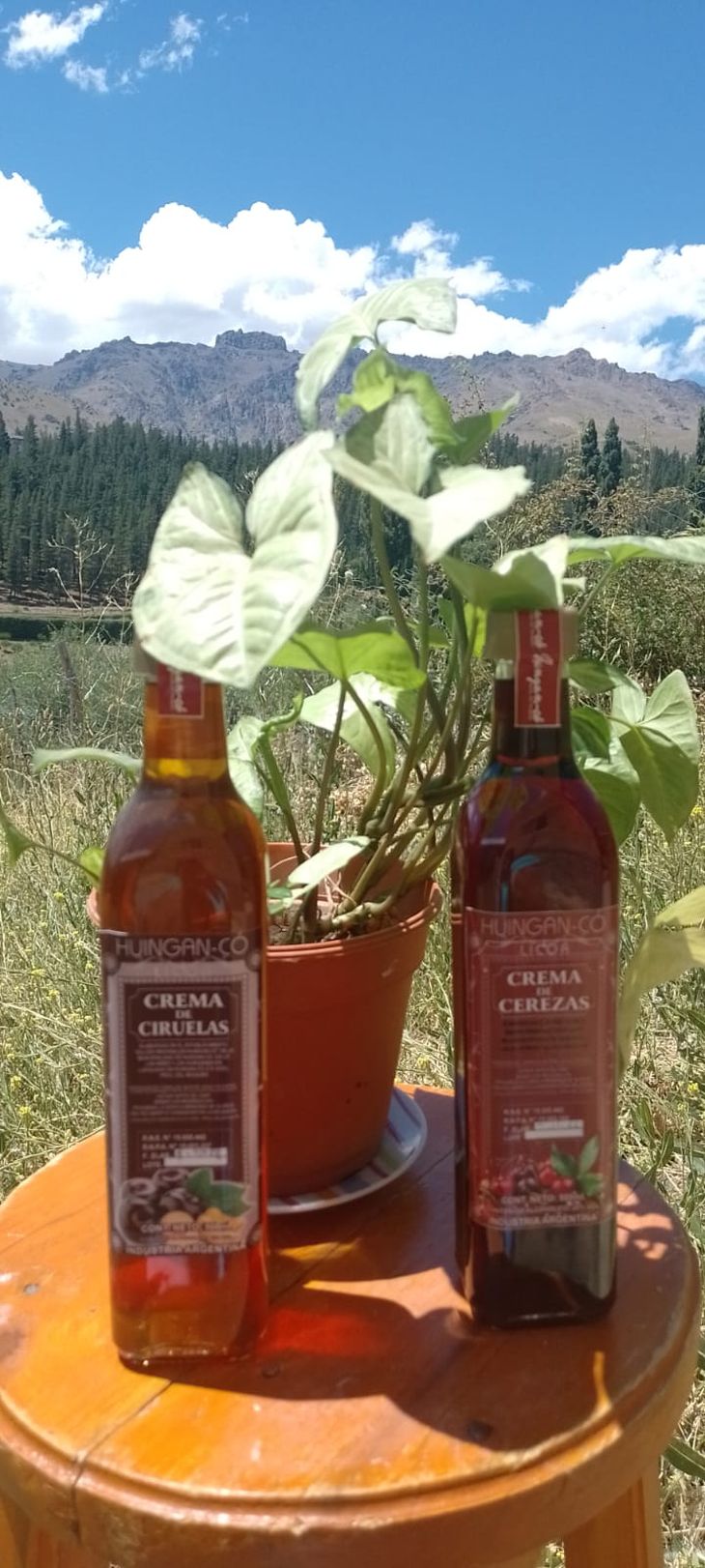 Huingán Có, el Huingán Có, el