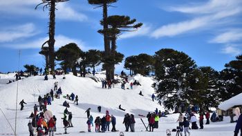 Primeros pinos actividades invierno.jpg