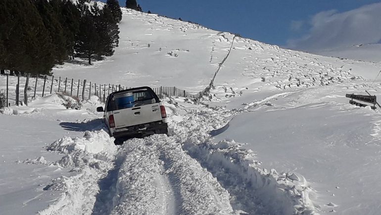 Emiten alerta amarillo por nevadas en Neuquén: las zonas afectadas