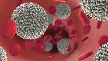 leucemia-cancer-de-sangre.jpg