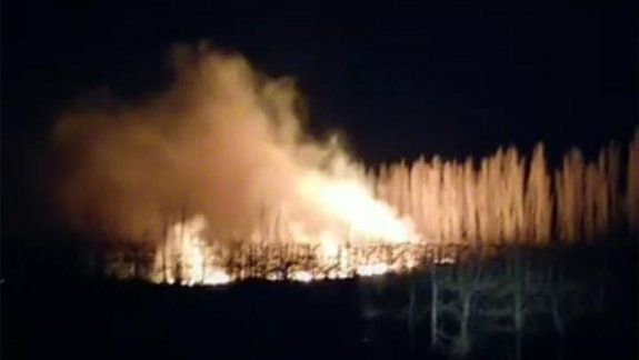 Centenario: bomberos tuvieron que apagar otro incendio