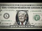 La llegada de Donald Trump a la Casa Blanca, marcará un nuevo rumbo en la política monetaria internacional.