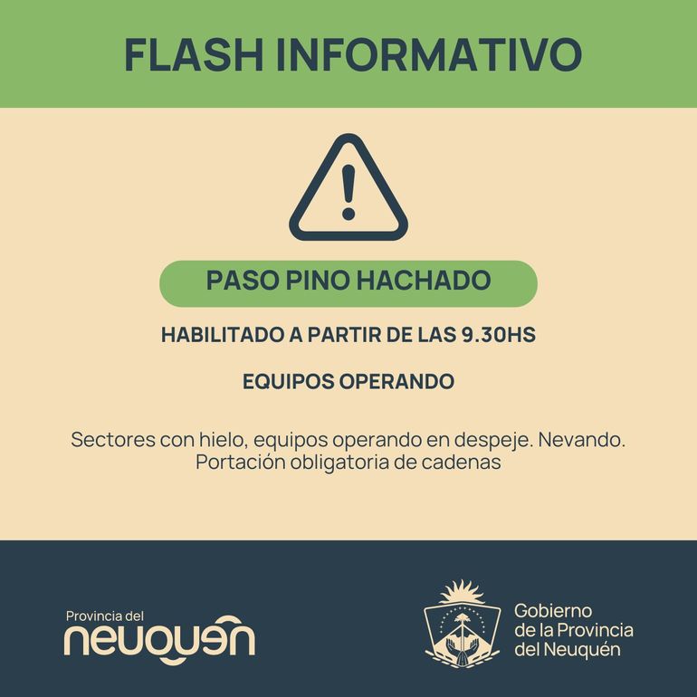 El paso fronterizo Pino Hachado se encuentra habilitado. El paso fronterizo Pino Hachado se encuentra habilitado.