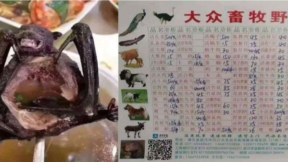 China: sigue el mercado de murciélagos