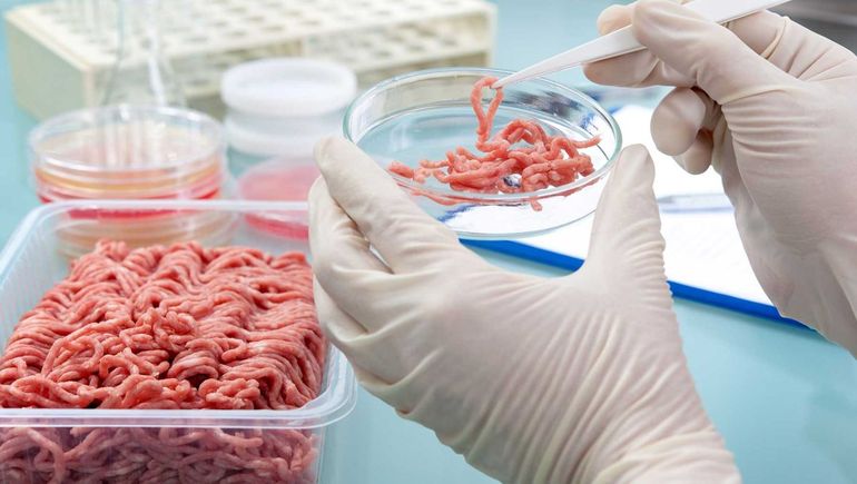 La carne de laboratorio ya puede comercializarse. La carne de laboratorio ya puede comercializarse.