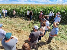 La unión hace la fuerza. La unión hace la fuerza.