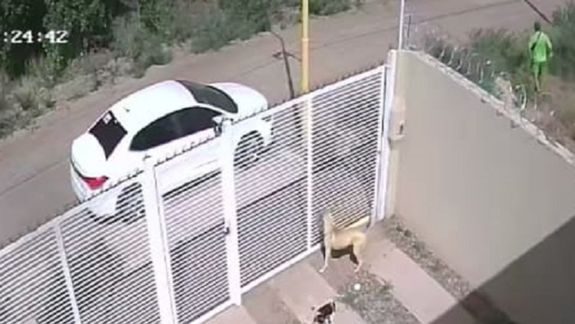Un barrio jaqueado por los ladrones: se mudó hace 6 meses y ya le robaron dos veces